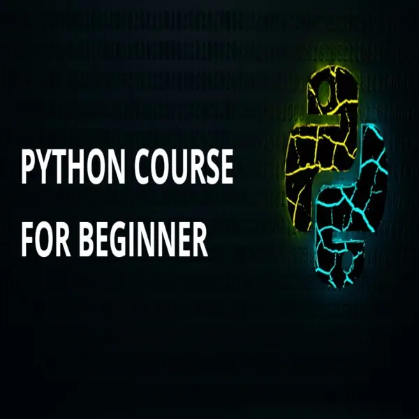 Python Course for Beginners